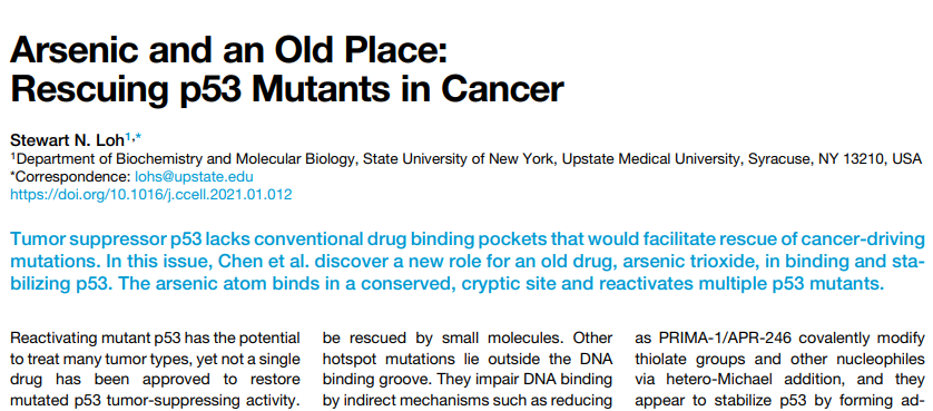 课题组研究成果三氧化二砷恢复p53结构型突变体抑癌功能被《Cancer Cell》长文解读